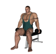 Lateral Raise - Seated Single